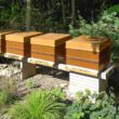 Bienenstockständer - Beehive stand